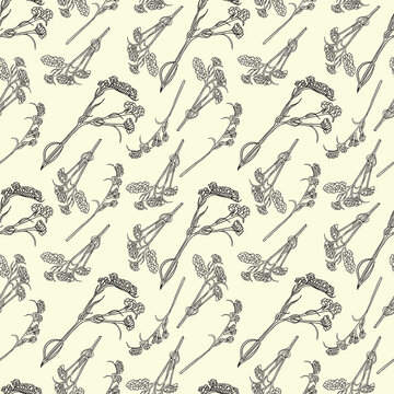 Statice flower seamless pattern. The botanical background. Pattern design for textiles, fabric, interior, wallpaper, decoration. Vector.
