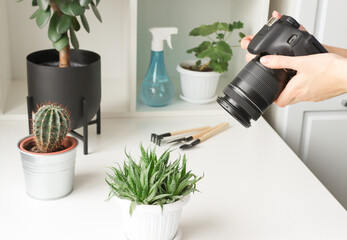 A plant blogger takes photos of them for his blog. Caring for home plants is a home hobby.