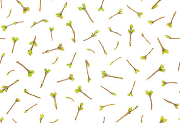 Spring seamless pattern of young twigs with buds 	