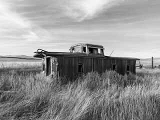 abandoned caboose in tall grass b&w