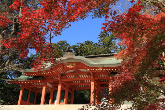 281 Best 香取神宮 Images Stock Photos Vectors Adobe Stock 281 Best 香取神宮 Images Stock Photos Vectors Adobe Stock