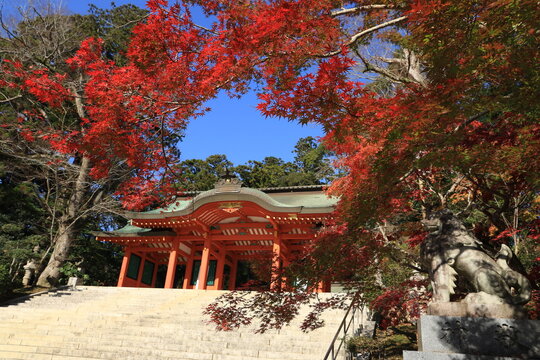 281 Best 香取神宮 Images Stock Photos Vectors Adobe Stock 281 Best 香取神宮 Images Stock Photos Vectors Adobe Stock