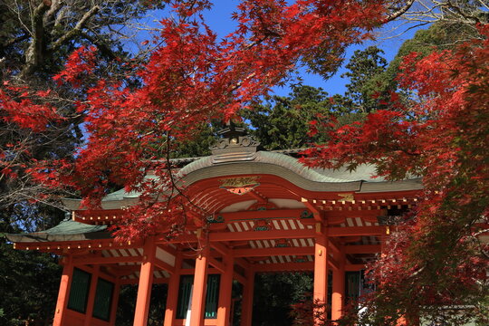 281 Best 香取神宮 Images Stock Photos Vectors Adobe Stock 281 Best 香取神宮 Images Stock Photos Vectors Adobe Stock
