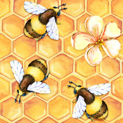 Digital paper seamless pattern with bee wasp, bumblebee, honey, field herbs, chamomile, calendula. Hand drawn watercolor illustration isolated on white background.