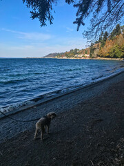 Lincoln Park
