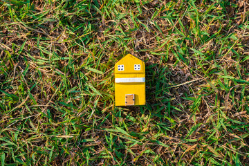 Wooden modern house on green grass with sun light