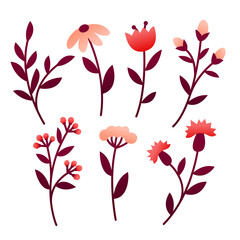 Set of floral elements, flowers isolated on white