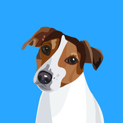 Vector portrait of dog Jack Russel terrier. Modern dog breeds illustration. Interior poster template.