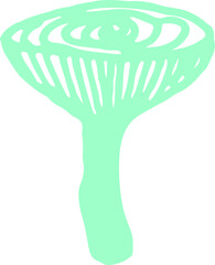 Chanterelle mushroom in turquoise color on a white background.