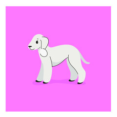 Fototapeta premium Bedlington Terrier. Cute dog character. Vector illustration in cartoon style for poster, postcard.