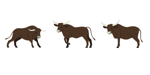 Illustration of bull in various poses. Vector drawing.
