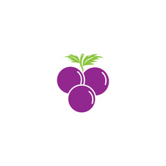 Grapes fruit illustration icon vector design clip art