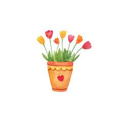 Watercolor hand painted illustration of tulips in a pot. Nice spring flowers, bright colors. Great for Easter greeting cards, home posters.