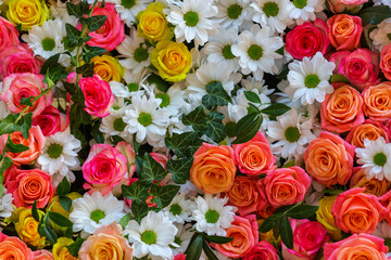Flowers background