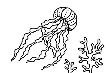 Jellyfish and coral in the ocean. Can be used for coloring book for kids. Vector illustration.