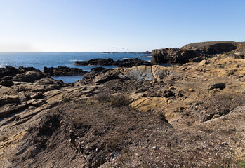 Fototapeta na wymiar Pacific Coast. Rocky shore in Point Lobos State Natural Reserve.