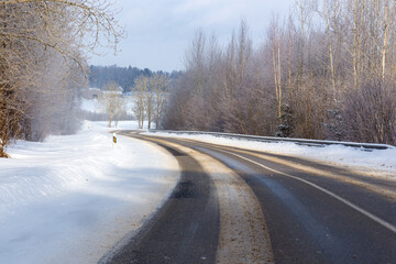 Obraz na płótnie Canvas Winter road in snowy forest on a sunny day.