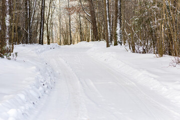 Fototapeta na wymiar Snowy trail path in the winter coniferous forest.Cold winter snowy morning