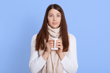 Pleasant looking lady wearing jumper and scarf posing isolated over blue background with teacup in hands, looks at camera with calm facial expression, warning up with hot beverage.