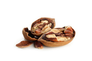 Tasty pecan nuts isolated on white background