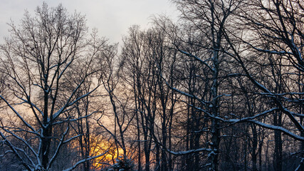 Victory park on a winter evening