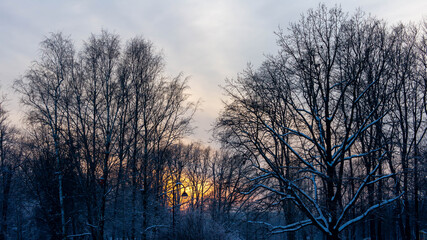 Victory park on a winter evening