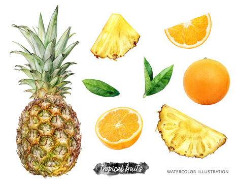 Pineapple orange set watercolor illustration isolated on white background