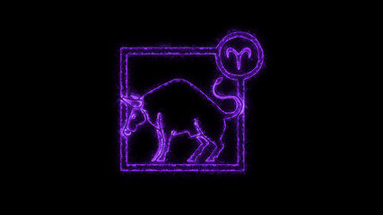 Fototapeta na wymiar The Taurus zodiac symbol, horoscope sign lighting effect purple neon glow. Royalty high-quality free stock of Taurus signs isolated on black background. Horoscope, astrology icons with simple style