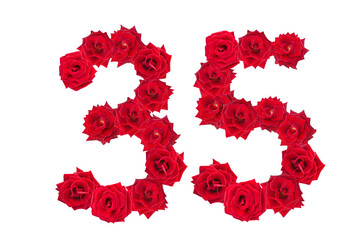 Numeral 35 made of red roses on a white isolated background. Element for decoration. Thirty five. Red roses.