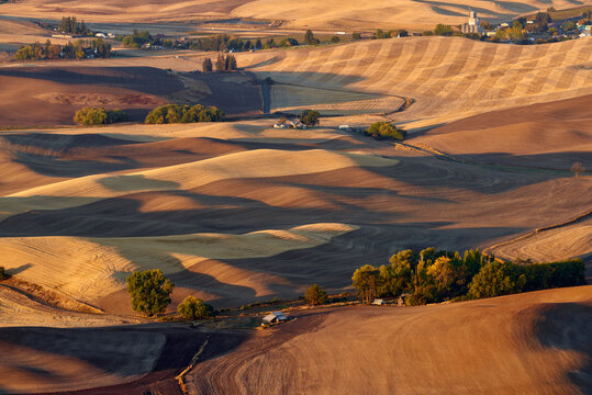View of the farmland in the Palouse Hills region near Steptoe small rural town in Washington state in the autumn season at sunrise.