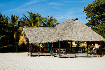 Beach bar with thatched roof in Latin America 