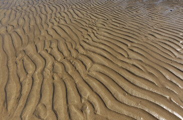 Tidal flat and the morning sunlight.
