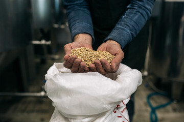 close up of brewer holding barley
