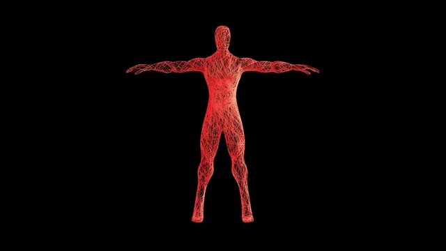 Artistic Humanoid revealed from wire. A rotating 360 degree camera reveals a human in a T-pose. It's a 4K .mov ProRes 4444 -16Bit, with Alpha Channel footage.
