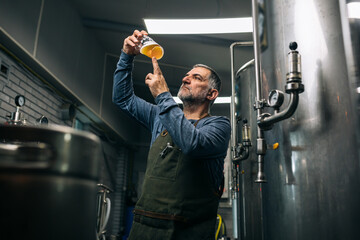 brewer examining taste and color of the beer in his craft beer brewery