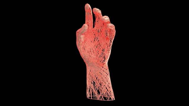 Artistic Human Hand revealed from wire. A rotating 360 degree camera reveals a human hand. It's a 4K .mov ProRes 4444 with Alpha Channel footage.