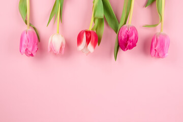 Beautiful colorful tulips against light pink background with copy space for text. Design for greeting card - Mother's Day, Women Day, 8 March or Valentines Day concept, selective focus