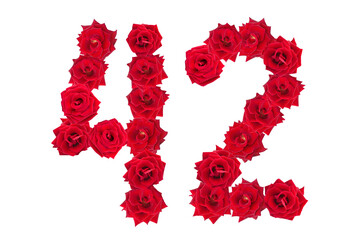 Numeral 42 made of red roses on a white isolated background. Element for decoration. Red roses.