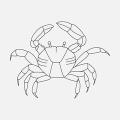 vintage vintage retro engraving style. zodiac sign and astrology. printing on gold foil