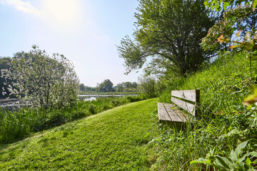 a small bench by the water surrounded by grass