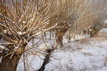 Zima w Polsce © Jacek