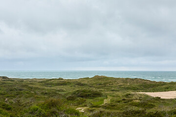 Fototapeta na wymiar landscape of green field by the beach