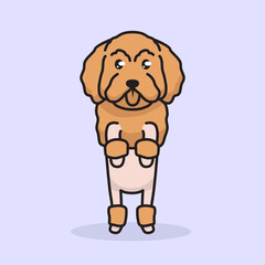 Obraz premium Cute dog poodle mascot logo design