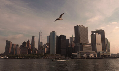 Obraz premium Vista de Nueva York con un ave volando sobre el río al amanecer en un día despejado