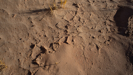 Texture in sandstone at temple of solomon in Capitol Reef National Park, Utah, on Nov. 10, 2019