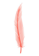 Coral detailed feather of bird. Vector decorative fluffy pink feather of flamingo or goose. Plume icon isolated on white background