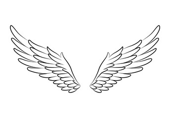 Vintage heraldic wings sketch. Doodle stylized birds wings. Hand drawn contoured stiker wing in open position. Design elements in coloring style © designer_things