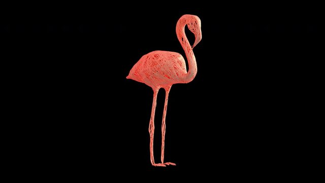Artistic Flamingo revealed from wire. A rotating 360 degree camera reveals it. It's a 4K .Mov ProRes 4444, with Alpha Channel footage.