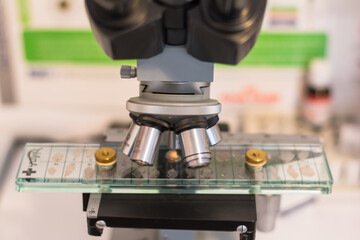 The compression or trichinoscopy method consists in the microscopic observation of the muscle...