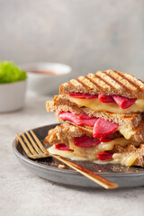 grilled salami and cheese sandwich